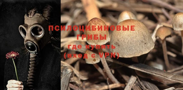 первитин Алексин