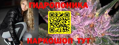 спайс Аргун