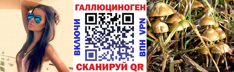 купить Архангельск Галлюциногенные грибы Cubensis